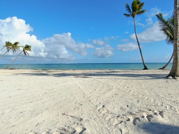 Comment trouver des vols à bas prix pour des voyages en groupe?