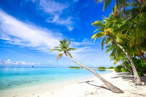 Les Meilleurs Moments pour une Croisière Inoubliable en Polynésie